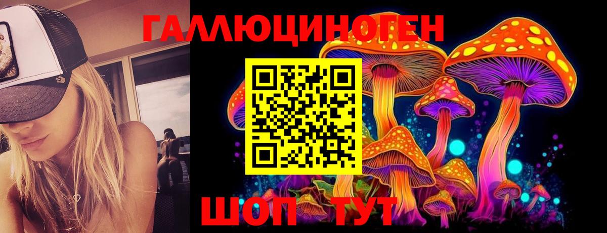 Дзержинский  Псилоцибиновые грибы Psilocybine cubensis  Вход с VPN 