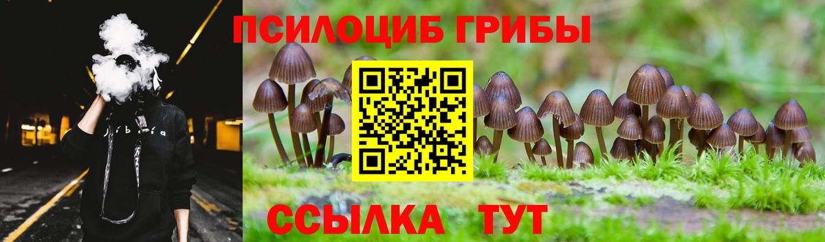 Псилоцибиновые грибы мицелий Дзержинский
